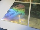 Picture 5 of 7
