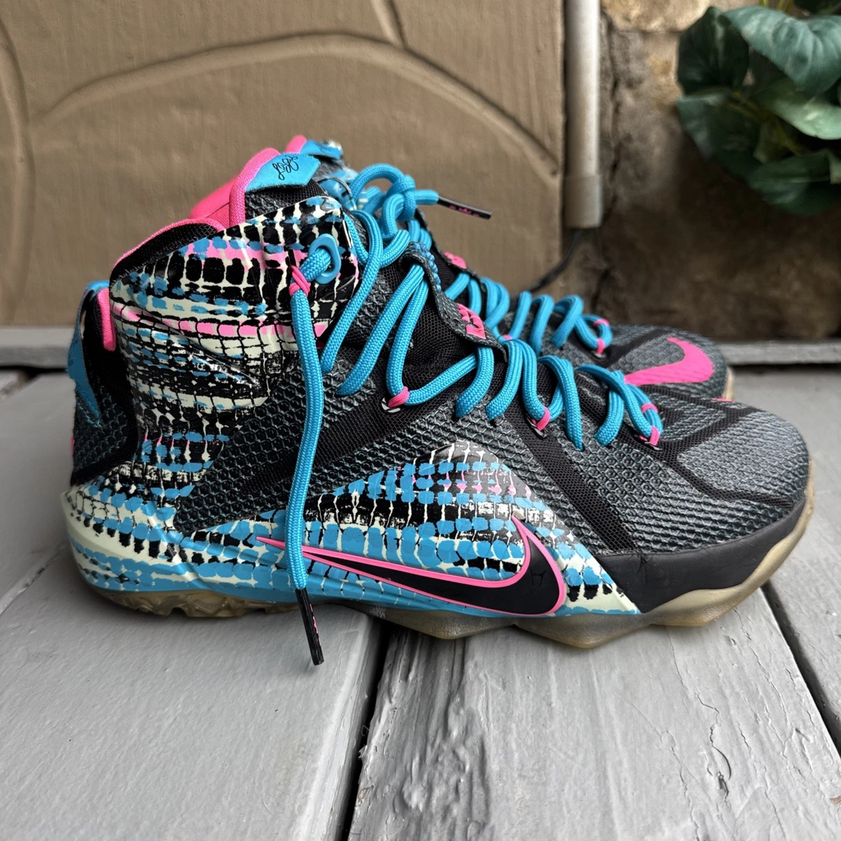 Nike LeBron 12 23 Chromosomes for Sale | Authenticity Guaranteed
