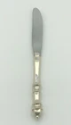 Carpenter Hall by Towle Sterling Silver individual Butter Spreader 7"
