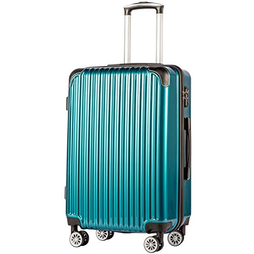Luggage Expandable(only 28