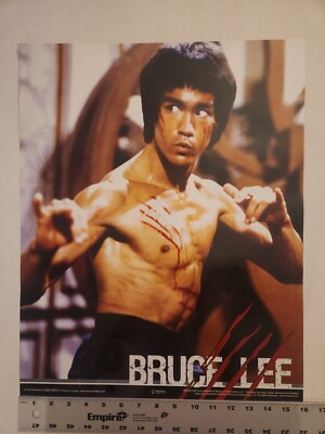 ブレスリーポスター Bruce Lee - 16x20 Mini Movie Poster | eBay