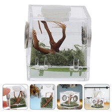  Jumping Spider Breeding Box Transparent Reptile Case Reptiles Container