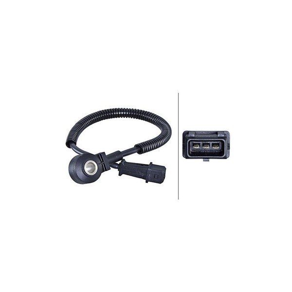 Hella Klopfsensor 6PG 013 114-461 FüR Fiat Jeep-image