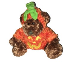 Animal adventure plush teddy bear Halloween pumpkin Costume, Fall  Thanksgiving