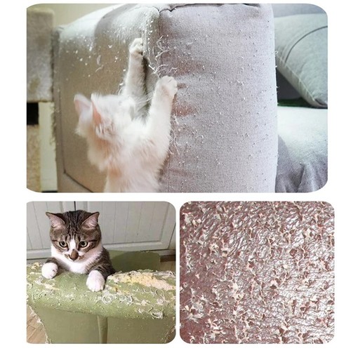 Haustier Anti Kratzer Schutz Aufkleber Klebeband Katze Zubehör Post Möbel Couch sicher - Bild 9 von 14