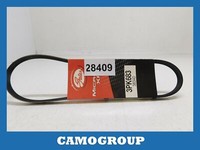 Zahnriemen V-Gerippt Belt Gates Ford Puma Mondeo Hyundai Elantra 3PK683