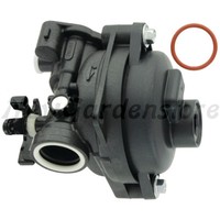 Vergaser AufsitzmäHer RasenmäHer Original Briggs & Stratton 595656