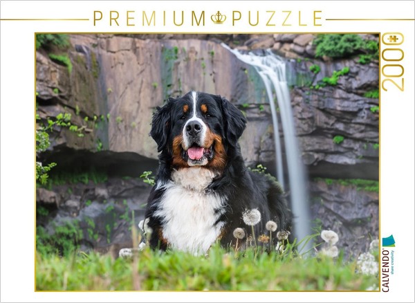 Calvendo Puzzle A Place In The Shade | 2000 Pieces, Finished Size 35.4 × 26.4 In-image