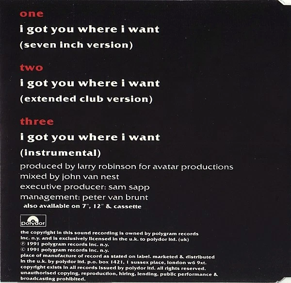 Marva Hicks – I Got You Where I Want RARE CD (SPD4) CLEARANCE SALE - Image 2 of 2