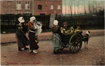 PC DOG CARTS DOGCARTS LAITIERES (a47025)