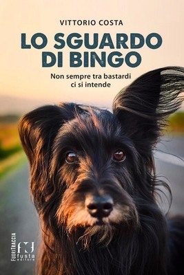 Neues Buch - Vittorio Costa - Der Blick des Bingos. Non Sempre Tra Bastardi Ci S