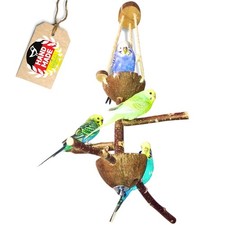  Vogelspielzeug Vogelspielplatz Wellensittich Spielzeug Nymphensittich