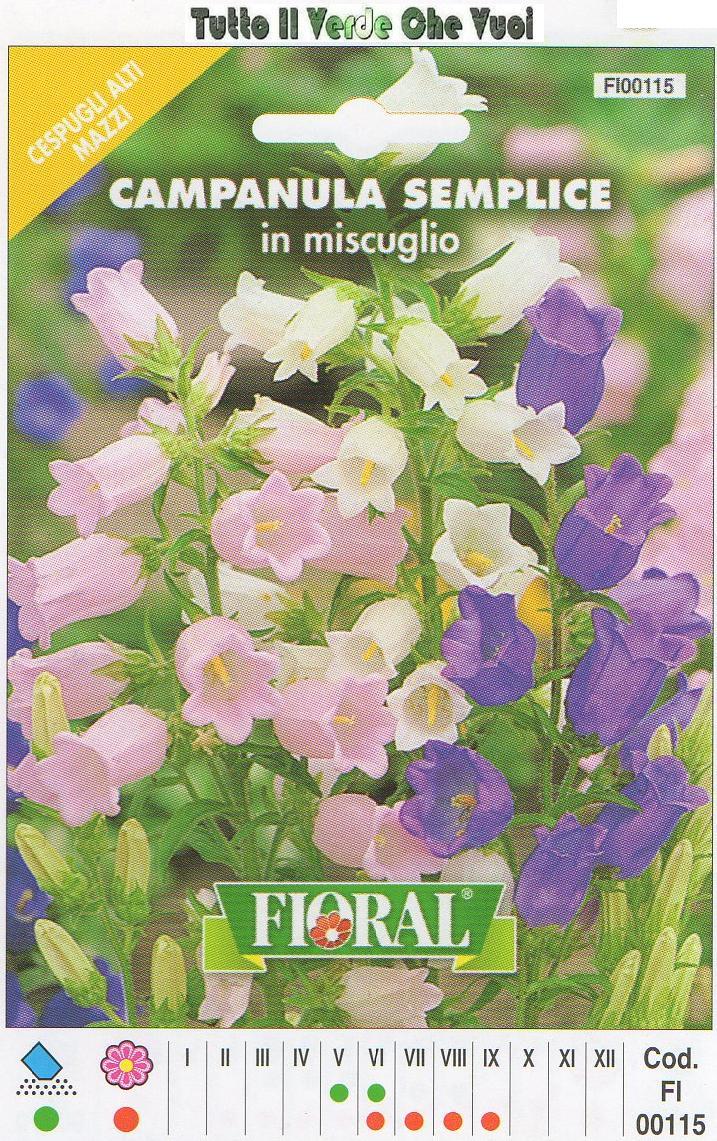 CAMPANULA SEMPLICE IN MISCUGLIO - AIUOLE BORDURE ROCCIOSI-FLORAL - BUSTA SEMENTI