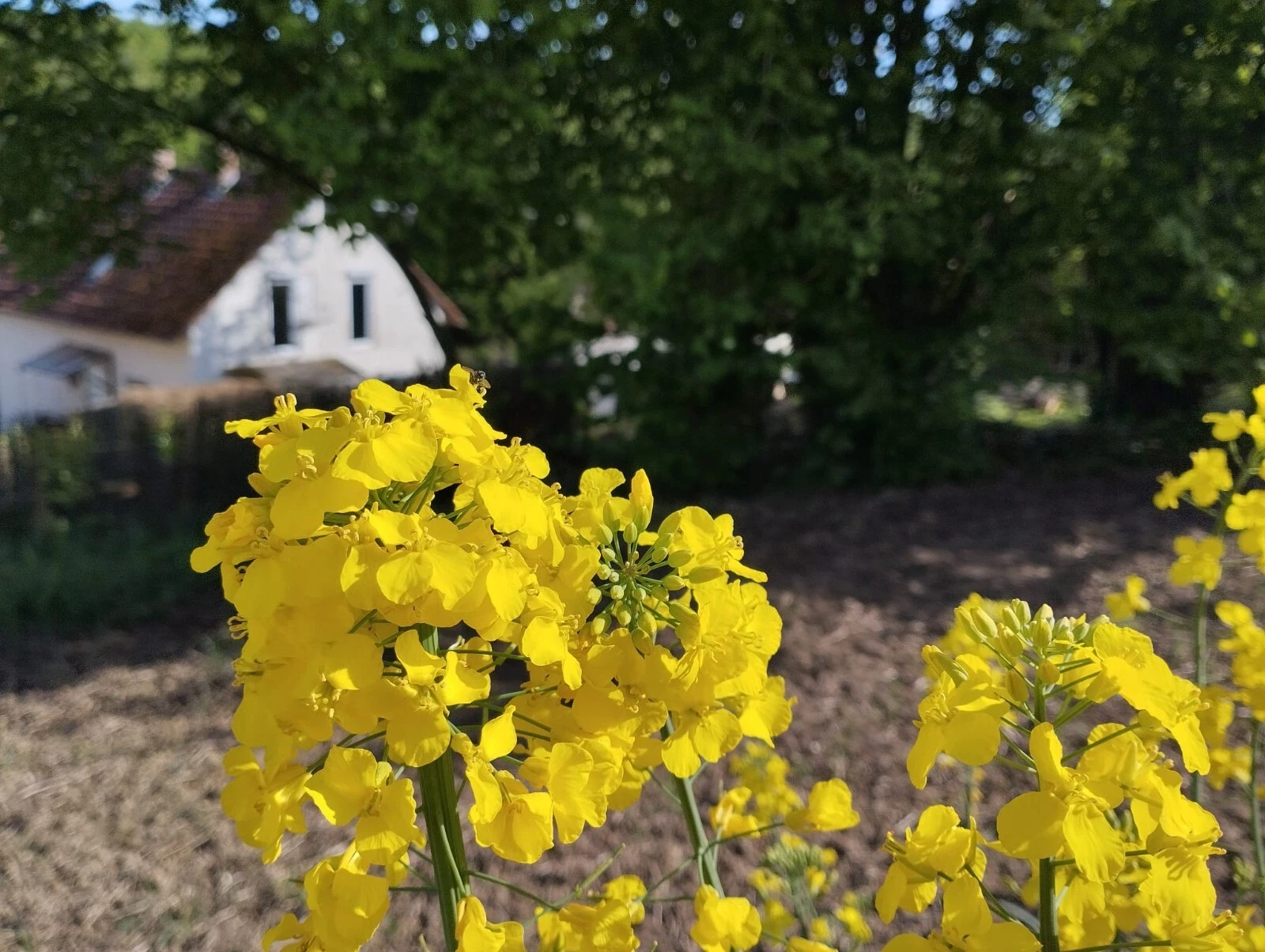 Bild 20 von 24