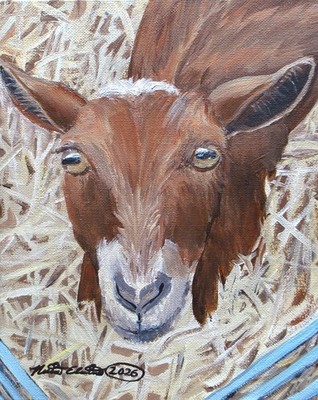 Goat, farm animals, original art, acrylic painting on canvas, 8x10 inches