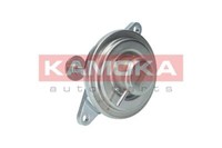 Kamoka 19012 Agr-Ventil For Chevrolet Opel Vauxhall