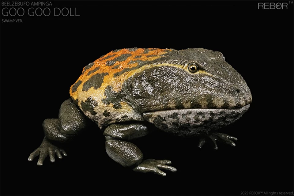 REBOR 1/2 Beelzebufo Action Figures Frog Animal Model Decor Adult Kids Toys Gift - Image 3 of 4