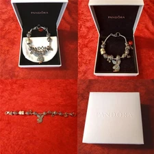 CHARM BRACELET UNBRANDED IN THE STYLE OF PANDORA INCLUDES ORIGINAL GIFT BOX