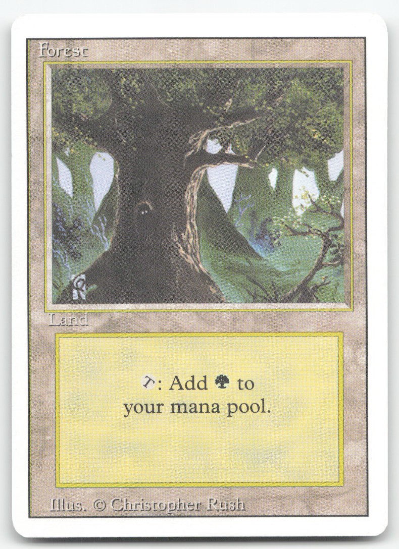 FOREST (C) 285 LAND REVISED EDITION MAGIC: THE GATHERING NEAR MINT