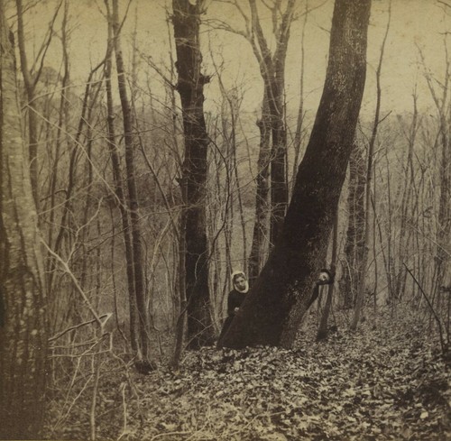 Stéréo circa 1888. Facétie. Cache-cache derrière un arbre en forêt. - Picture 2 of 2
