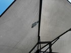 Bild 7 von 17
