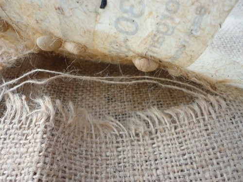 Holland Coffee San Gabriel Organic Gunny Bag Advertising Burlap - 第 7/7 張圖片