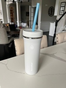 ThermoFlask 32oz Stainless Steel Insulated Standard Straw Tumbler Cup Gray Flask