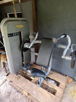 Technogym Armstrecker Maschine