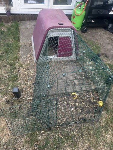 Omlet Chicken Coop / Rabbit - Picture 3 of 3