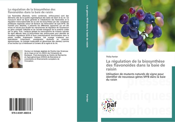 La RéGulation De La BiosynthèSe Des FlavonoïDes Dans La Baie De Raisin Thilia Fe-image