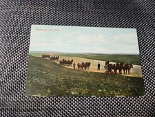  1909 Ploughing in the West Farming Scene Horses Field Postcard 710