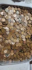 5000 Wheat Pennies Cents CULLS