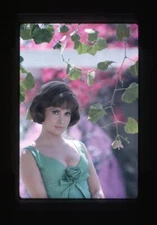 Gina Lollobrigida Vintage 1960's Busty Glamour Pin up Original Transparency 