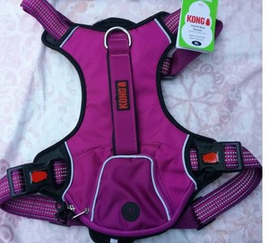 kong waste bag harness