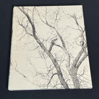 Mitch Epstein: New York Arbor Hardcover 2013 Steidl Slipcase
