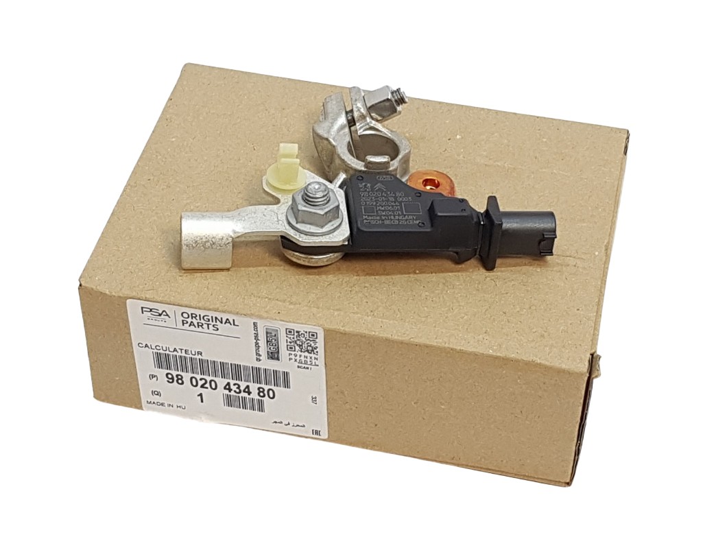 Capteur Batterie 3008 Module Protection Batterie HDLIV 9802043480 Pour Peugeot 3008/408/508 Module Batterie