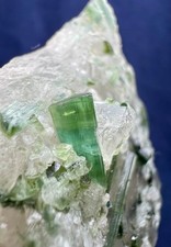 296cr. Rare Green Tourmaline Crystals on Quartz - Afghanistan