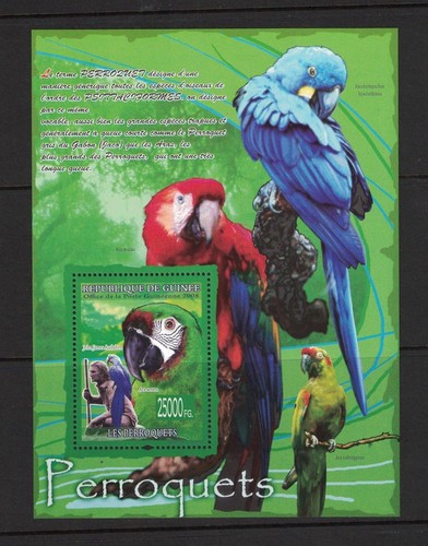 Guinea - Perroquets. 3 x Souvenir Sheets. MNH OG.#02 GUINPERR - Picture 3 of 3