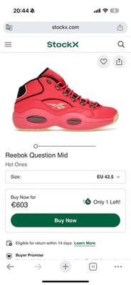 LIMITED EDITION Reebok Question Mid - (Unique Colorway)  (EU42,5, US9.5) 