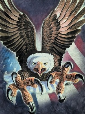 The Mountain Mens T-shirt Blue Flag Bearing Eagle Retired Logo XL #3911 NWOT