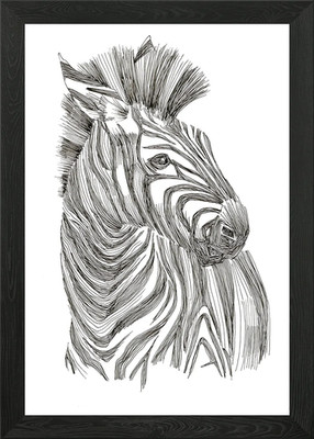 Zebra. Equus quagga. Framed Wall Art Poster Canvas Print Picture