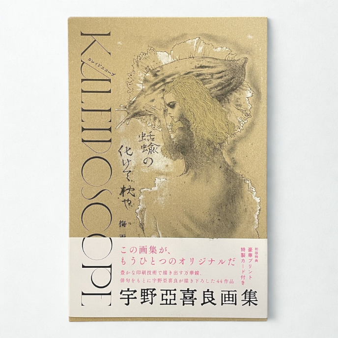 Aquirax Uno Art Book Kaleidoscope Japanese Illustration Collection