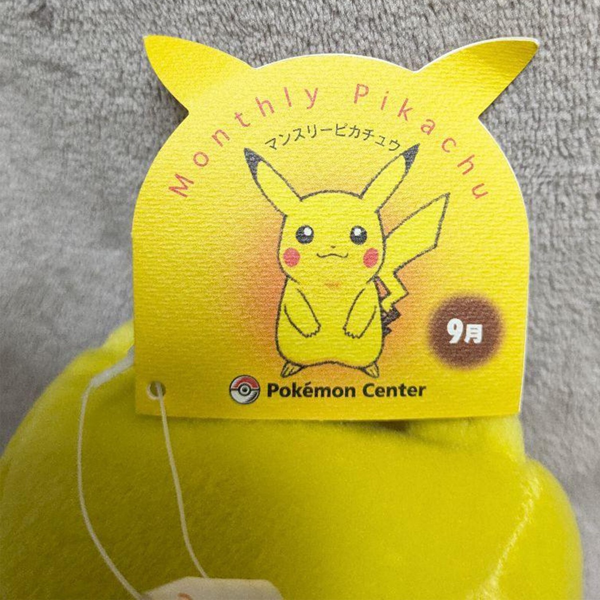 Pokémon Center Monthly Pikachu December 2002 September 2003 Plush