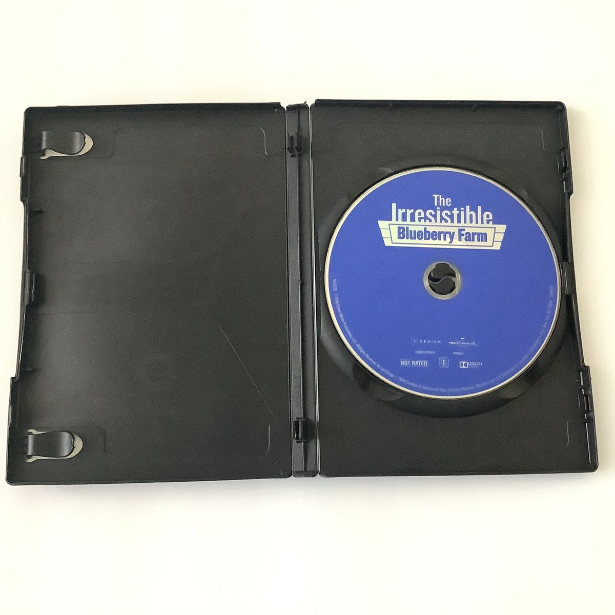 The Irresistible Blueberry Farm HALLMARK Movie DVD Alison Sweeney