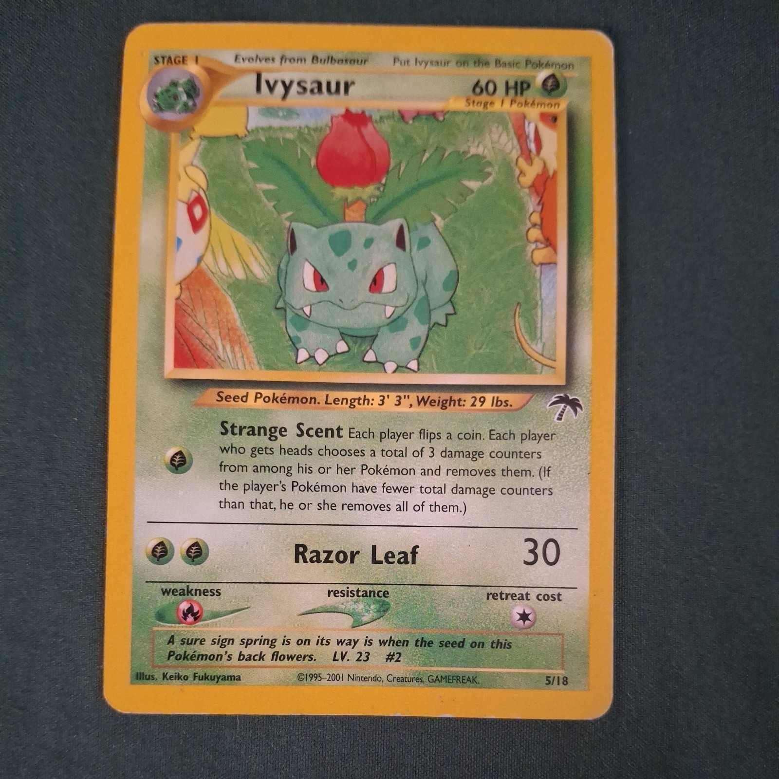 Ivysaur 5/18 Southern Islands 2001 Pokemon Card Rare NM Non Holo