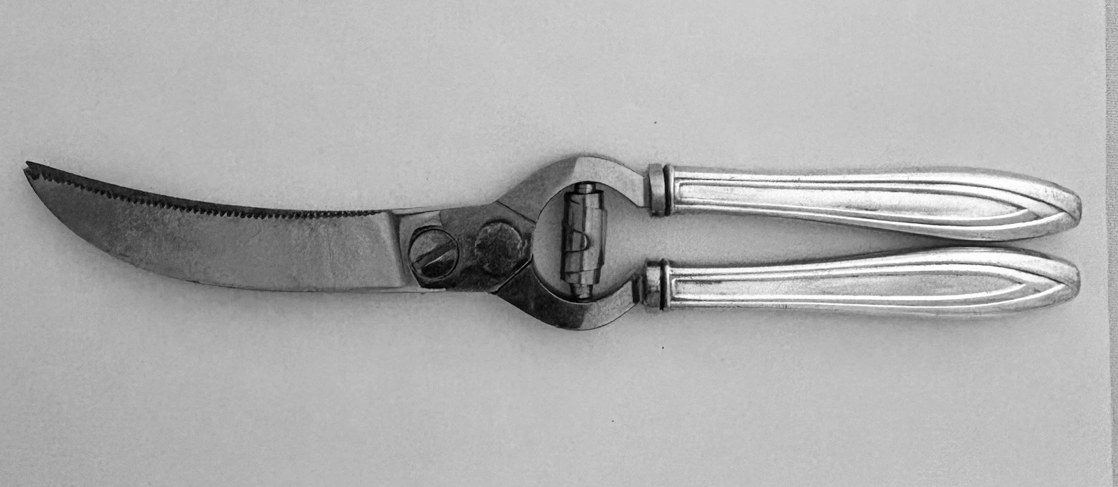 Rogers Silhouette Kitchen & Poultry Shears Silverplate Handles Offers Encouraged
Opens in a new wind
