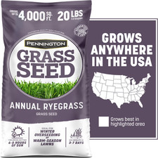Annual Ryegrass Grass Seed, 20Lb, Full Sun to Partial Shade, Rye Grass Seeds for 2.30 per gallon