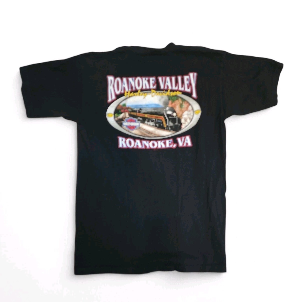 Vintage 80's 90's Holoubek Harley Davidson Shirt Large Bald Eagle Train Roanoke image 6