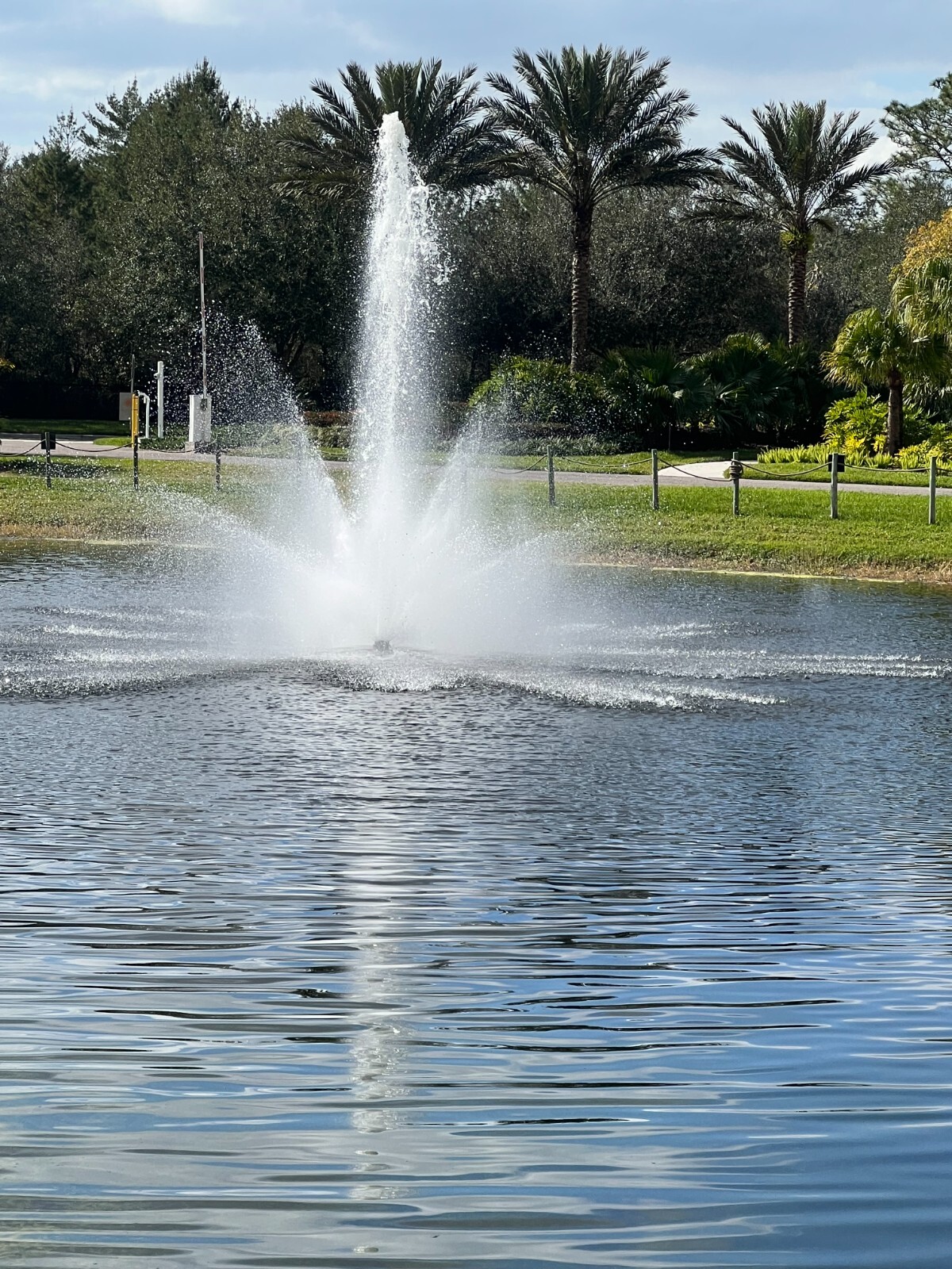Picture 6 of 8