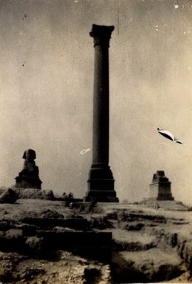 Ägypten, Alexandria, Pompeiusäule, Sphinx, Originalabzug, 1920